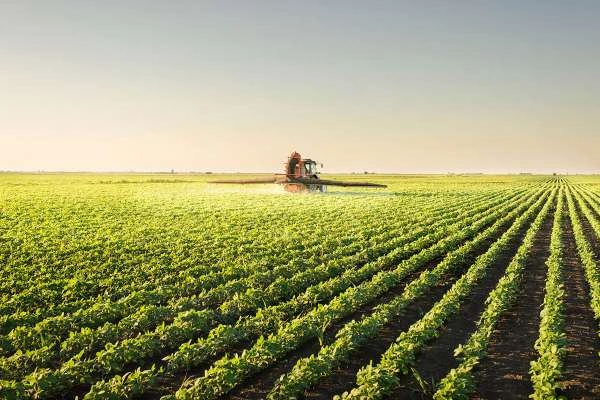 Agroneg�cio cresce 3,8% e representa 21% do PIB brasileiro