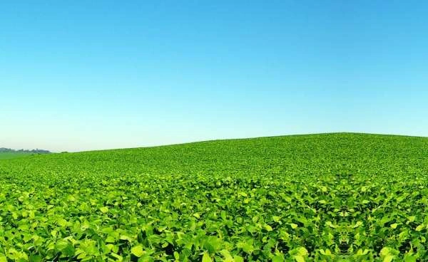 Conhe�a os principais equipamentos para minera��o e agroind�stria e suas aplica��es
